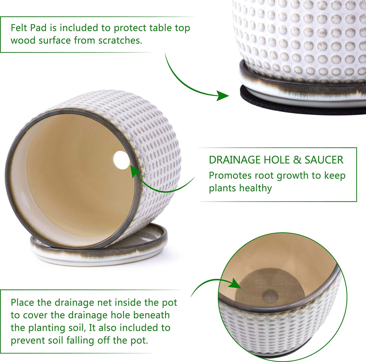 D'vine Dev planter with detachable saucer included to protect surfaces