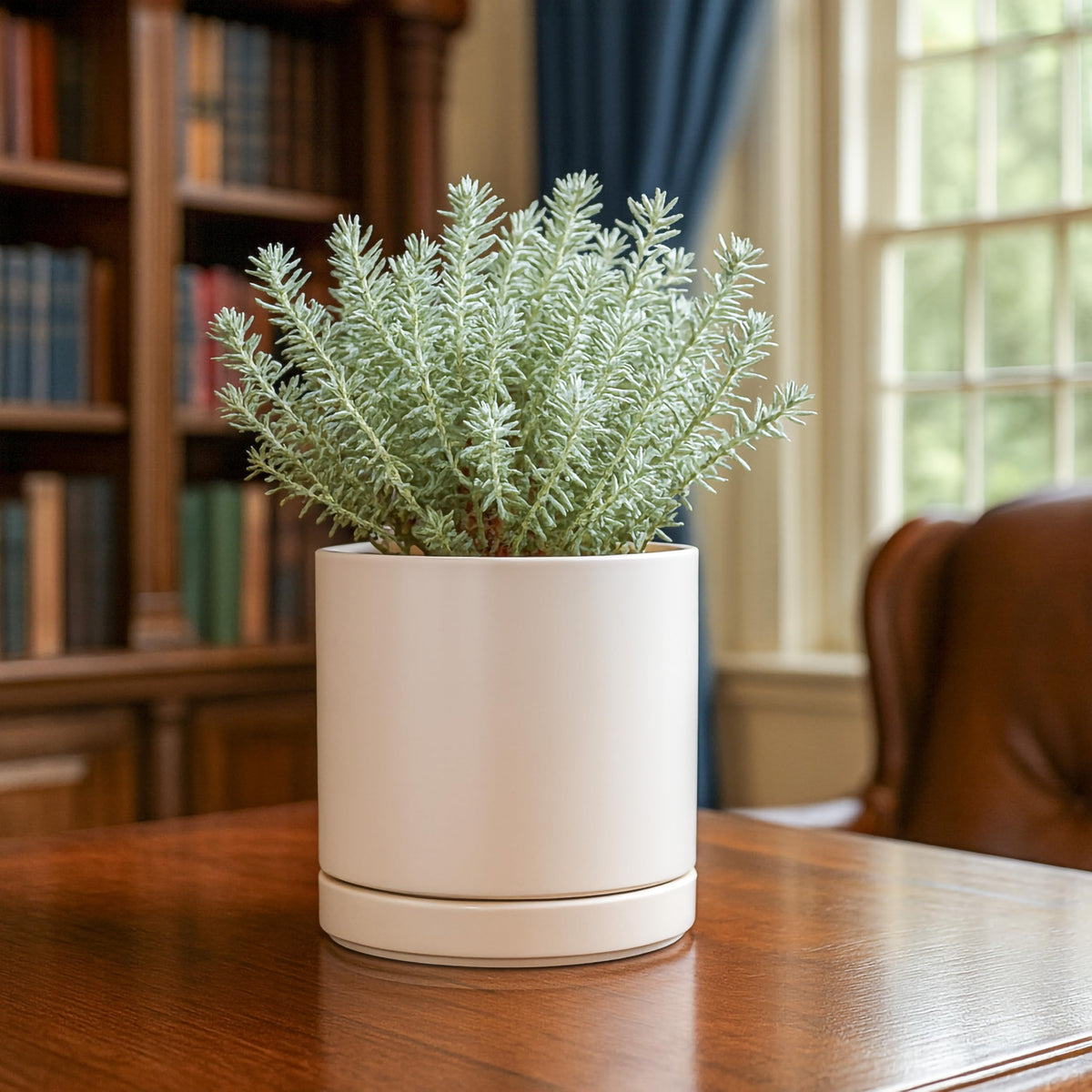 D'vine Dev planter pots show the 6-inch inner diameter for versatile plant fits.