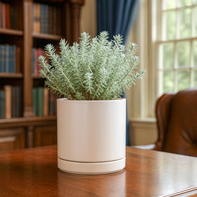 D'vine Dev planter pots show the 6-inch inner diameter for versatile plant fits.