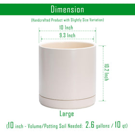 D'vine Dev ceramic planter saucer with drainage net included for mess-free setups