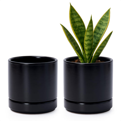 D'vine Dev ceramic planter set in black, two-pack for stylish indoor display