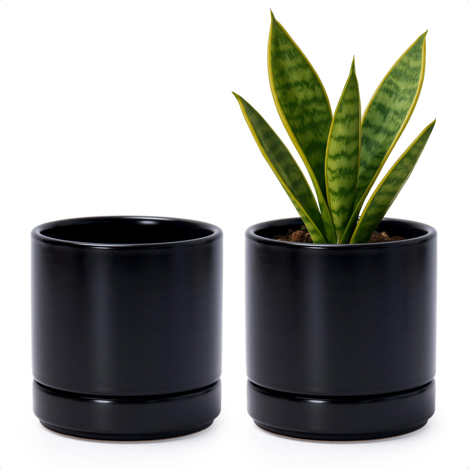 D'vine Dev ceramic planter set in black, two-pack for stylish indoor display