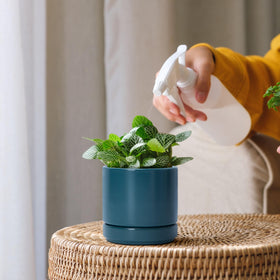 D'vine Dev teal planter side view suitable for compact desks and shelves.
