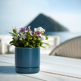 D'vine Dev teal glaze close-up highlighting smooth finish and color depth.