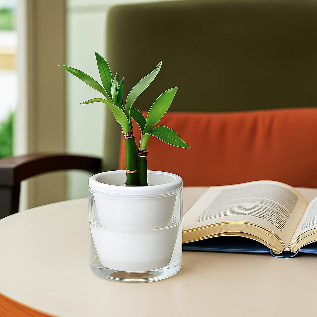 D'vine Dev clean, minimal display suitable for modern home interiors.