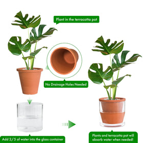 D'vine Dev no-drainage-hole terracotta pot prevents leaks and tabletop mess.