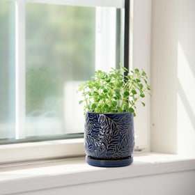 Dvine Dev midnight blue finish complements modern home interiors.