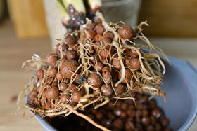 Beads suit multiple pot sizes for versatile use.