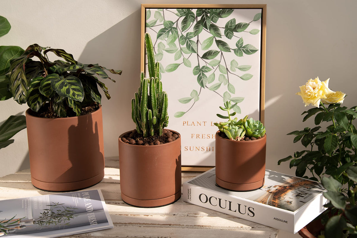 D'vine Dev detachable terracotta saucer included with pot for easy drainage control.