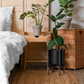 D'vine Dev thick-walled plastic pot resists daily wear