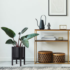D'vine Dev ebony wood stand provides sturdy elevation for the planter.