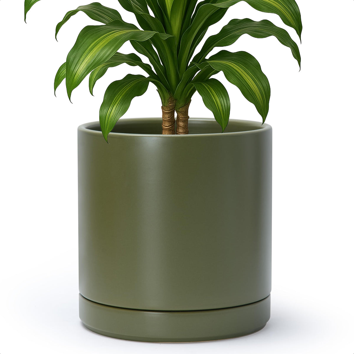 D'vine Dev packaging supports hassle-free replacement if damaged.
