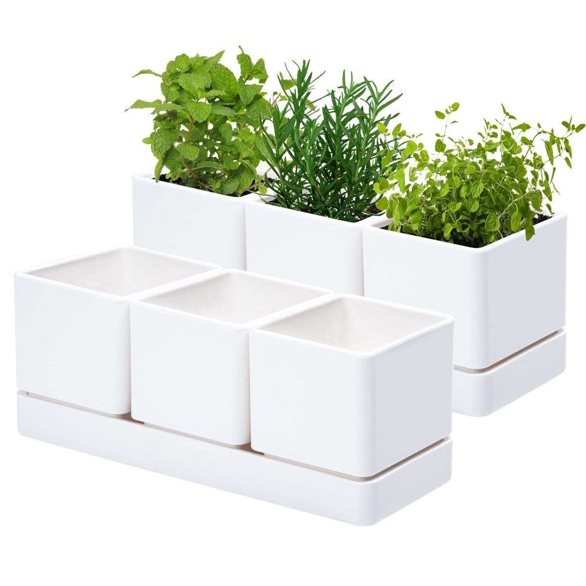 D'vine Dev herb planter set front view for compact windowsill gardening.