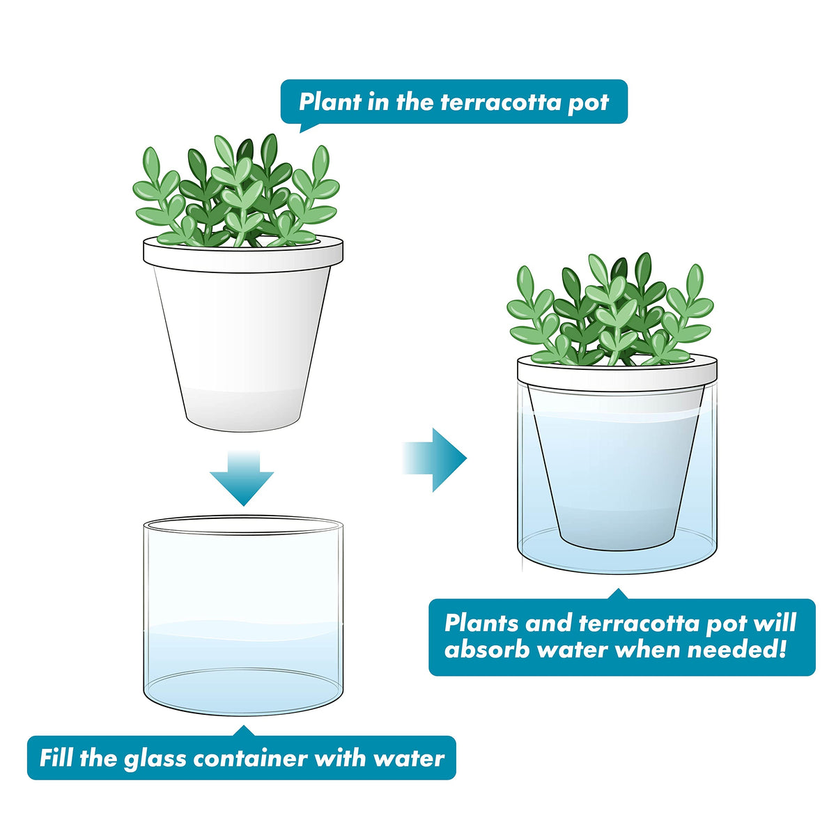D'vine Dev ideal for herbs like basil or aloe and small indoor greens.