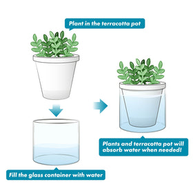 D'vine Dev ideal for herbs like basil or aloe and small indoor greens.
