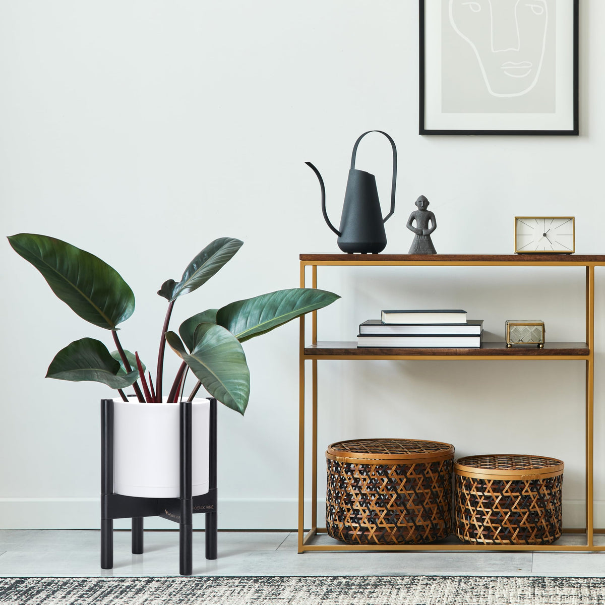 D'vine Dev indoor greens display with pot showcases simple plant arrangement.
