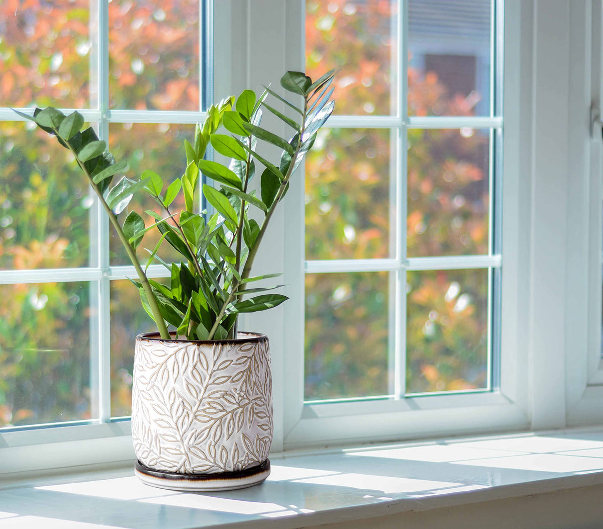 Dvine Dev indoor/outdoor planter supports versatile use