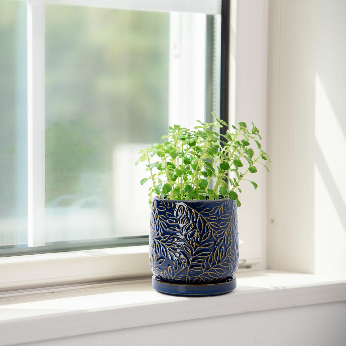 Dvine Dev versatile planter suitable for indoor and outdoor décor.