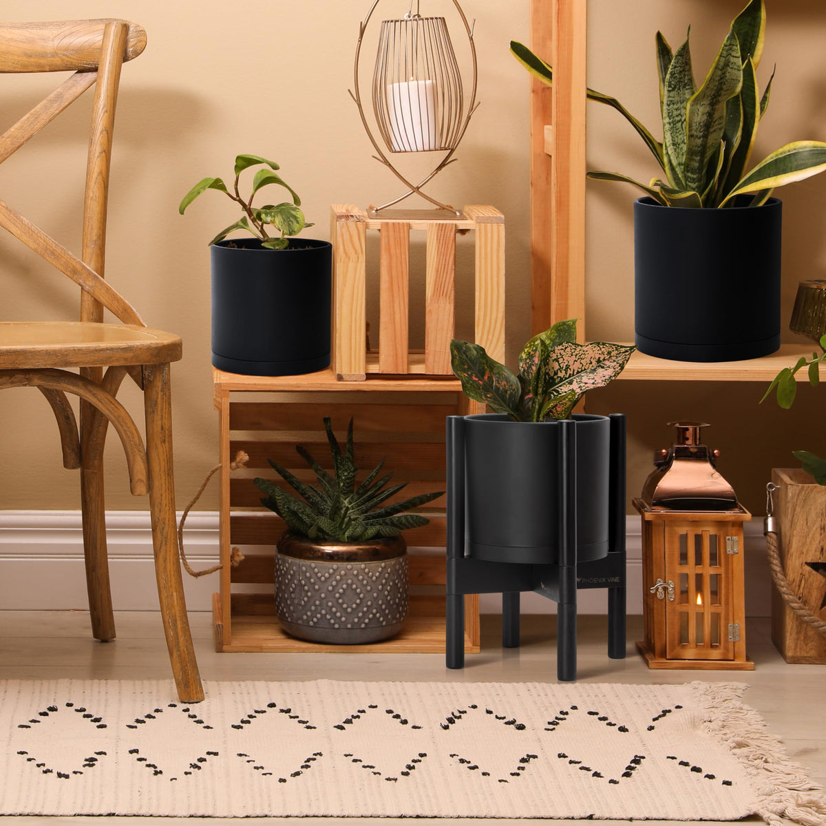 D'vine Dev indoor plant display ideal for living room corners.