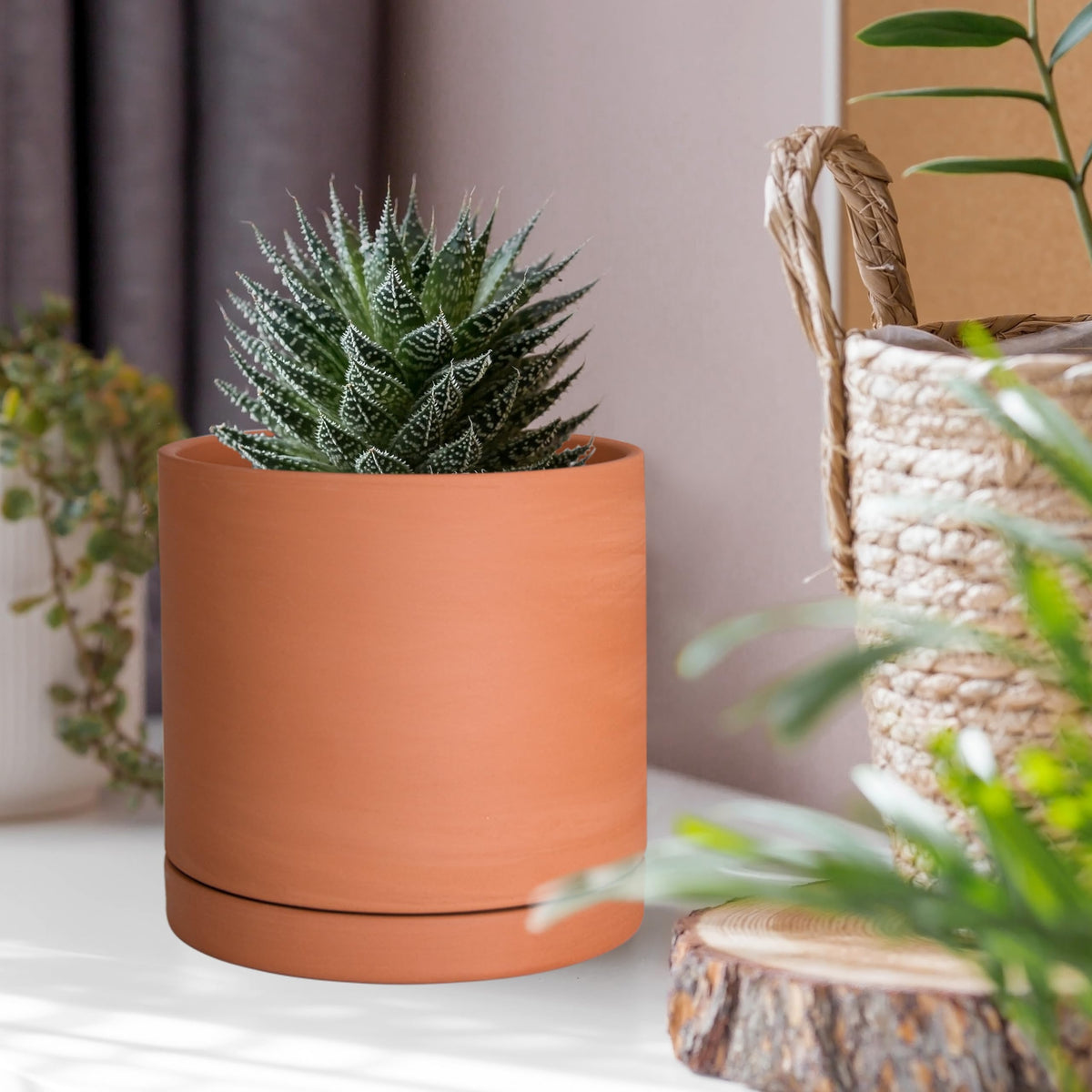 D'vine Dev set of two X-Small terracotta pots for compact arrangements