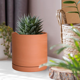 D'vine Dev set of two X-Small terracotta pots for compact arrangements