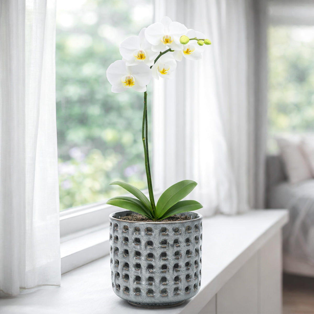 D'vine Dev midnight-blue planter elevates décor while drainage and aeration support healthy roots
