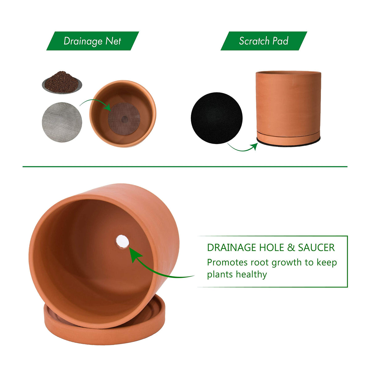 Dvine Dev interior diameter 9-4in ensures compatible plant choices.