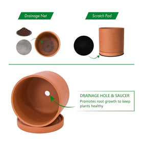 Dvine Dev interior diameter 9-4in ensures compatible plant choices.