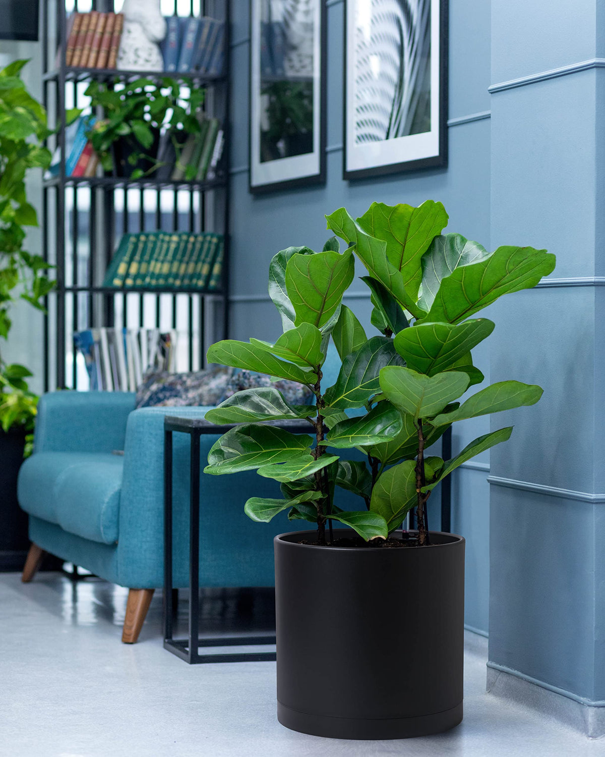 Dvine Dev lightweight durable plastic makes moving tall planters easy.