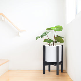 D'vine Dev matte white pot close-up emphasizes durable plastic and subtle texture.