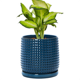 D'vine Dev midnight-blue 6-inch planter front view with beaded texture for chic indoor display