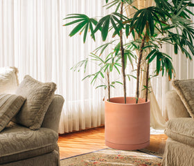 D'vine Dev minimalist round terracotta pot for indoor plants.