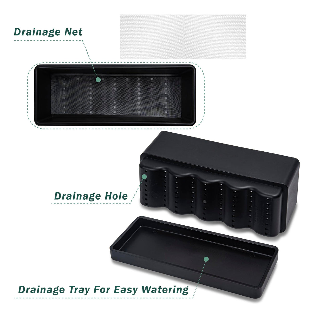 D'vine Dev modern design complements kitchen decor while keeping plants healthy and accessible.