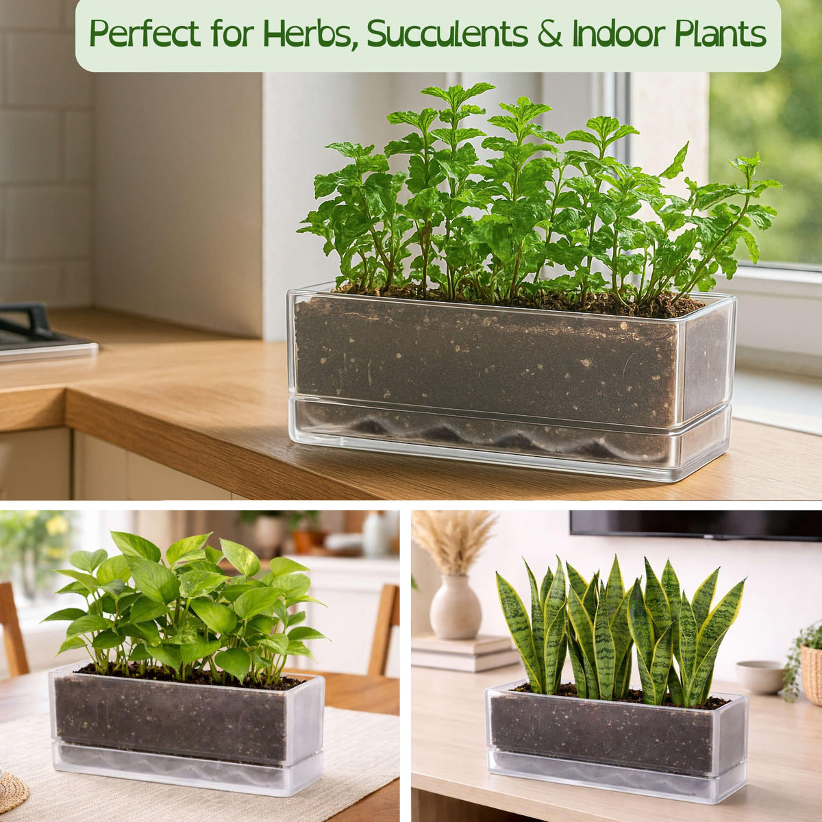 D'vine Dev modern kitchen window garden fits contemporary decor