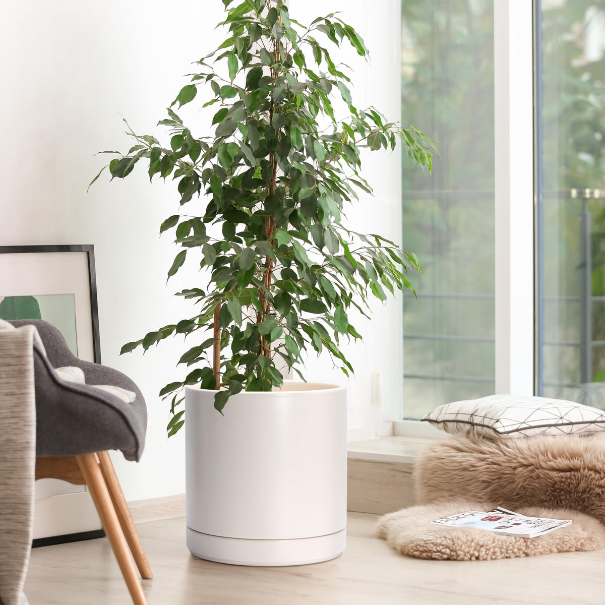 D'vine Dev oatmeal planter exterior showcases a modern cylindrical silhouette for stylish spaces