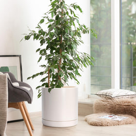 D'vine Dev oatmeal planter exterior showcases a modern cylindrical silhouette for stylish spaces
