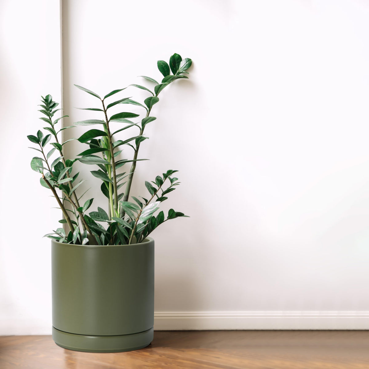 D'vine Dev planter side view with saucer, ideal for table or shelf placement.