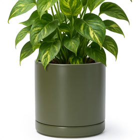 Packaging detail showing care and replacement options for the planter.