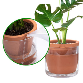 D'vine Dev packaging ensures safe delivery and intact pot set