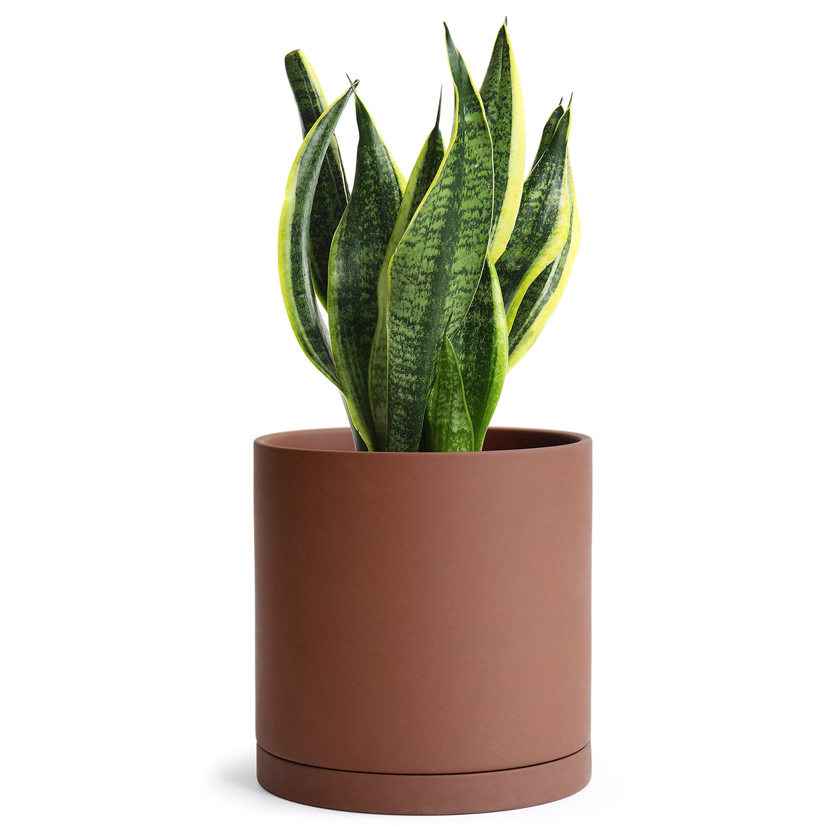 D'vine Dev perfect saucer fit with pot for stable, spill-free setup.