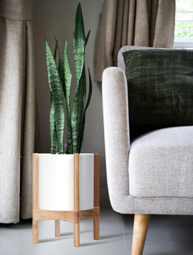 D'vine Dev indoor setup demonstrates versatile styling for real or faux plants.