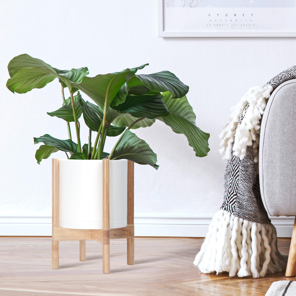 D'vine Dev natural wood stand complements the matte white pot with understated elegance.