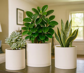 D'vine Dev oatmeal matte planter adds understated style indoors.