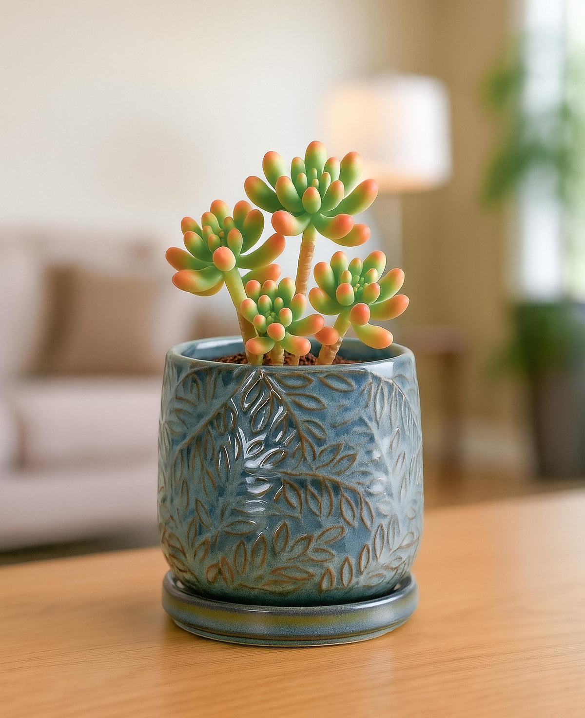 D'vine Dev planter rests on protective pad to prevent furniture damage.