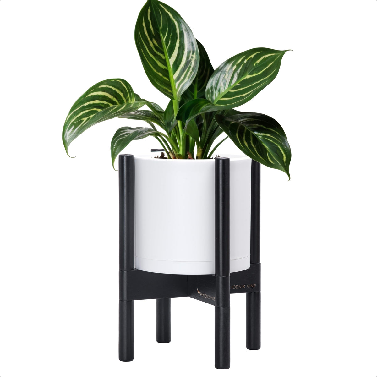 D'vine Dev planter pot 8in with stand, front view, ideal for elegant indoor displays.