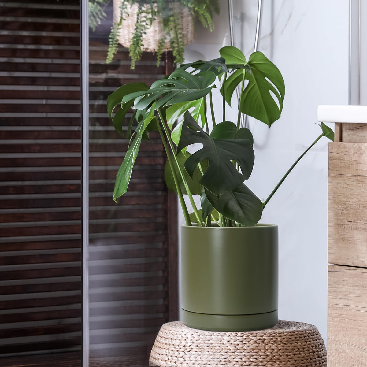 D'vine Dev olive planter with saucer for mess-free placement.