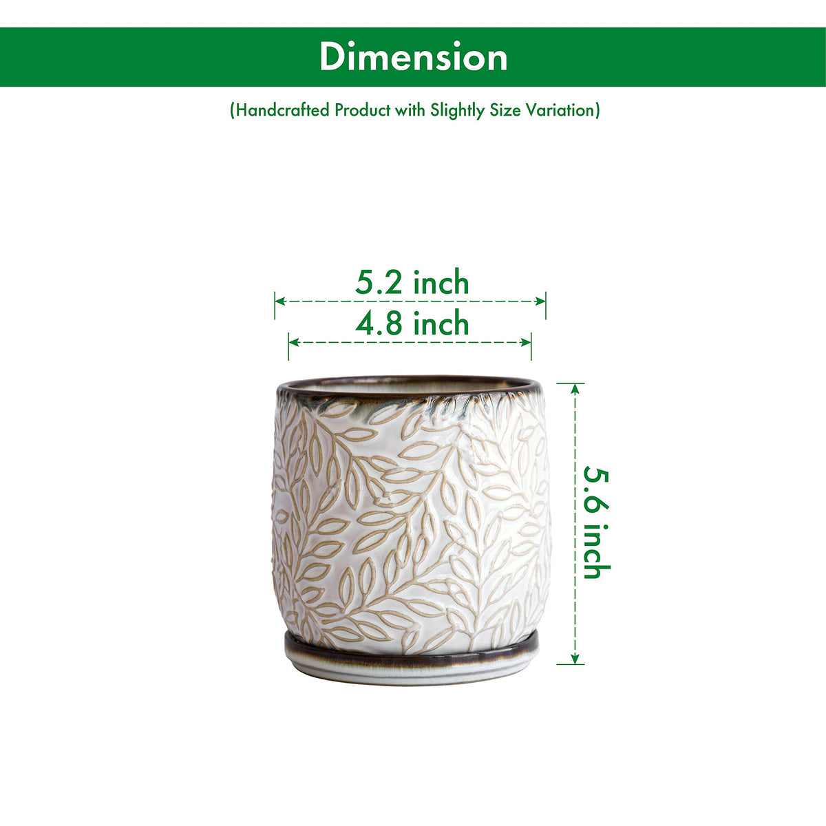 Dvine Dev planter saucer keeps pots tidy with spill-free drainage
