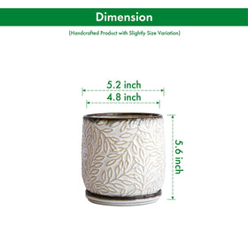 Dvine Dev planter saucer keeps pots tidy with spill-free drainage