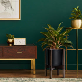 D'vine Dev complete planter set enhances real or faux greenery