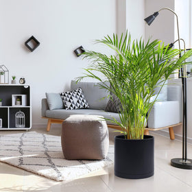 Dvine Dev side view highlights minimalist cylindrical silhouette for versatile décor.